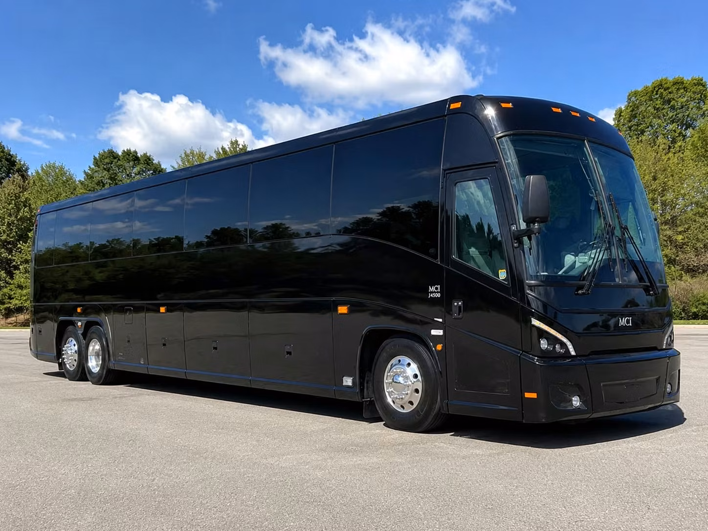 bronx zoo field trip bus rentals made easy